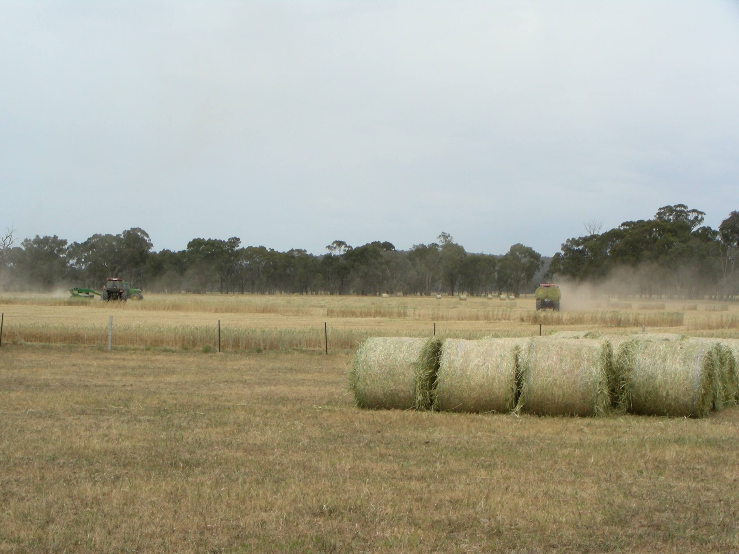 Hay and silage in paddock - agricultural copywriter, Crystal Lobban.
